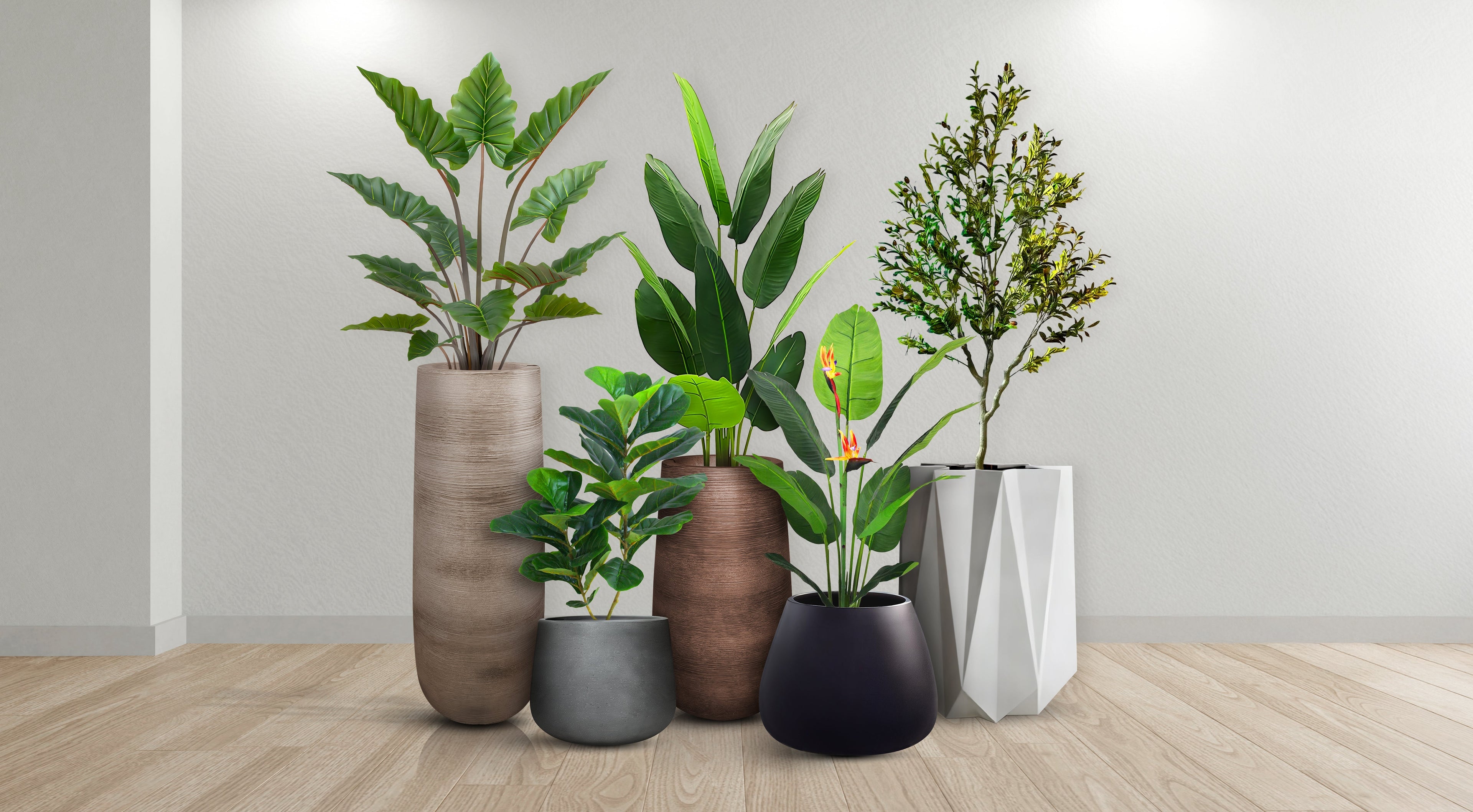 Trees and Planters