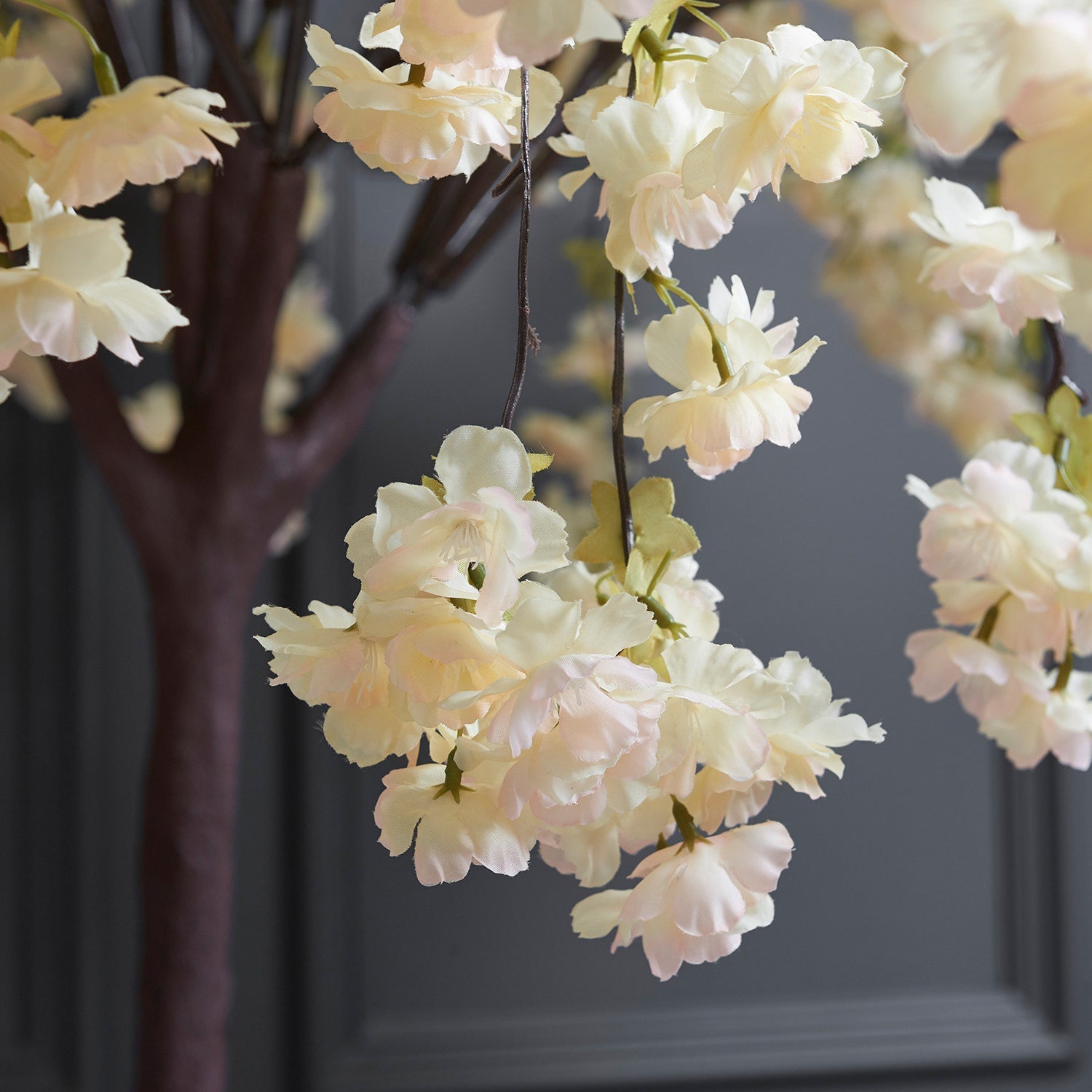 Close-up of Prunus Ukon Blossom Tree flowers by Landmark Decor, showcasing delicate cream petals on a dark branch against a muted beige-gray background. The blossoms are in full bloom, exuding a soft, natural beauty.