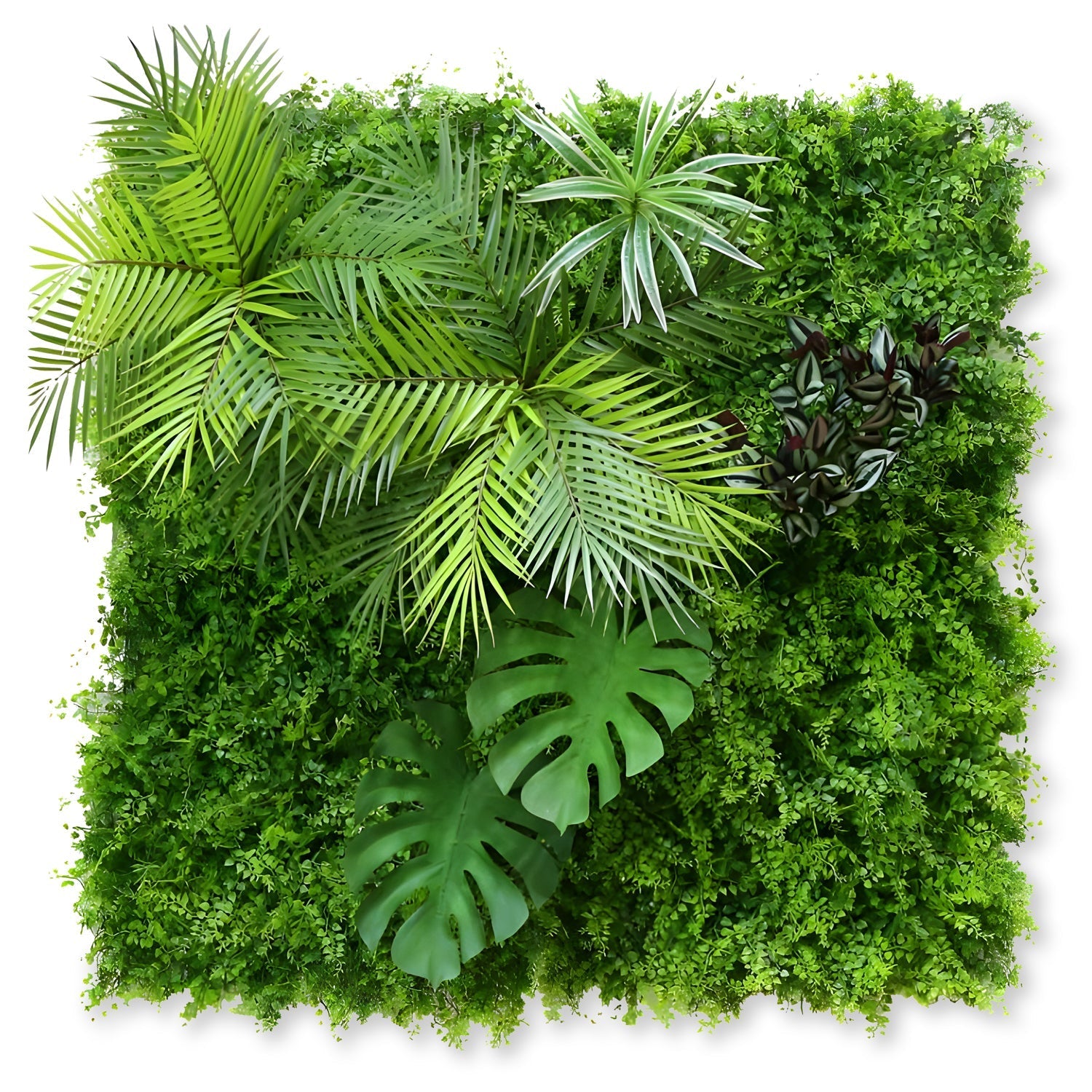 The Tropical Green Wall by Landmark Decor showcases a vibrant square arrangement of lush greenery, featuring diverse leaf shapes and textures like ferns, palm leaves, and monstera, creating a dense and decorative display that highlights the beauty of nature.