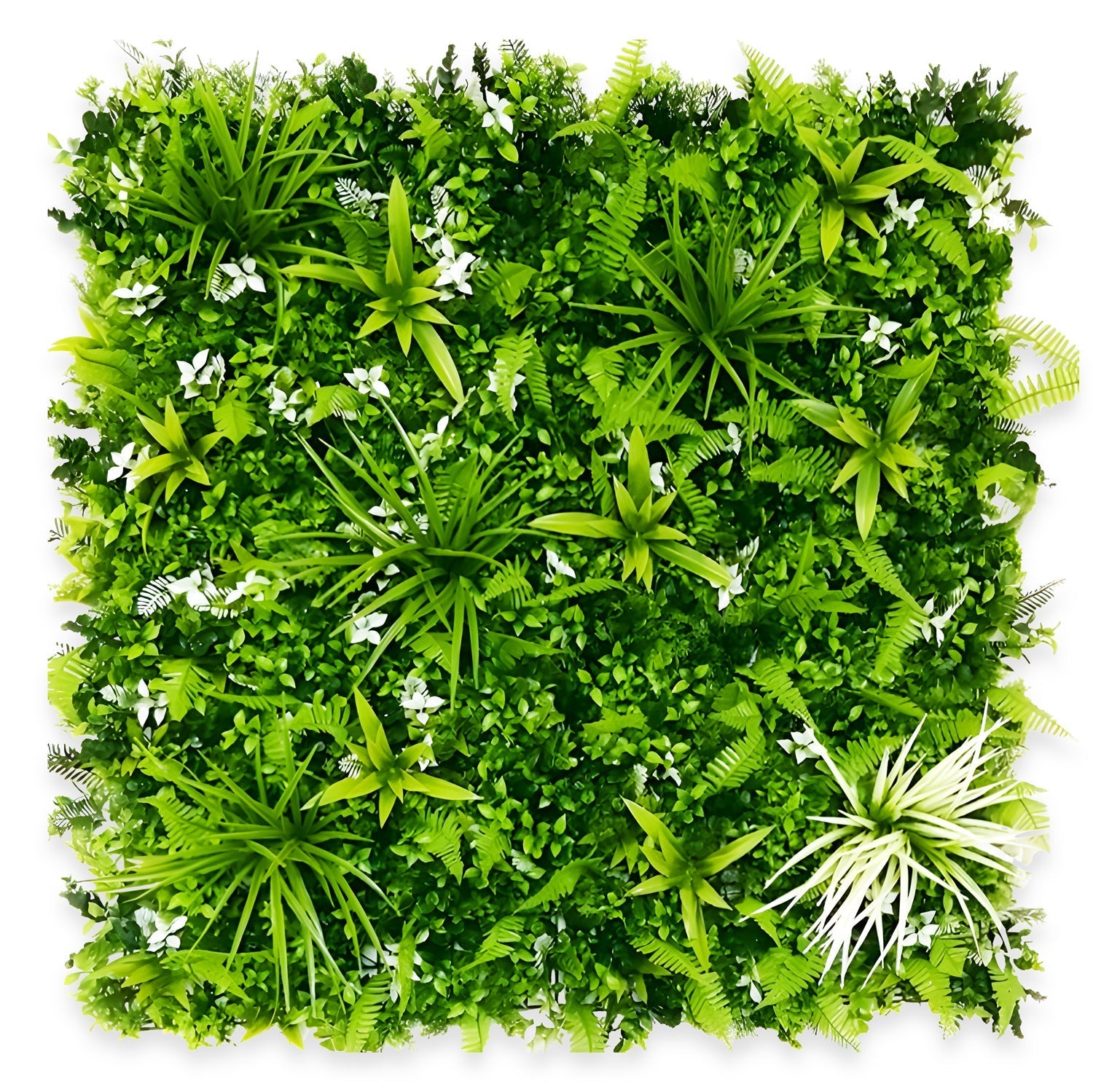 The Tropical Peace Wall by Landmark Decor is a square vertical garden boasting lush foliage with a diverse mix of plants and ferns, including white flower grass. It offers varying green shades and sporadic white blooms, creating a textured and vibrant natural wall.