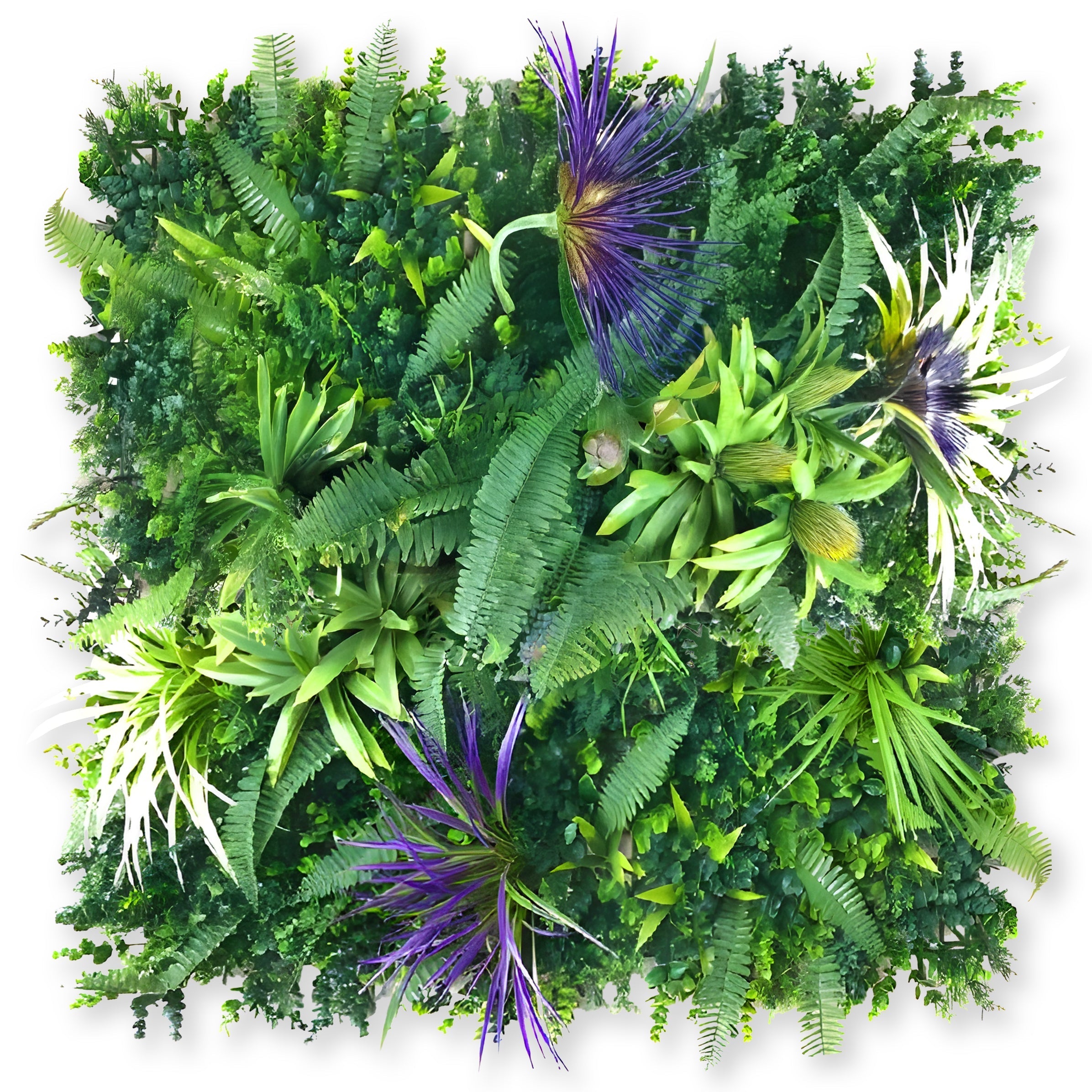 The Amethyst Zen Greenery by Landmark Decor is a lush vertical garden blending green ferns, leafy plants, and purple-hued, spiky-petaled elements. This arrangement merges flowering aspects with natural greenery for a vibrant, textured display.