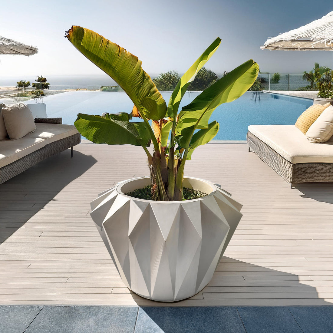 Beside a pool, a banana plant in the Diamanta Elegant Planter by Landmark Decor graces the deck amidst lounge chairs and umbrellas, creating a luxurious blend of nature under a clear sky.
