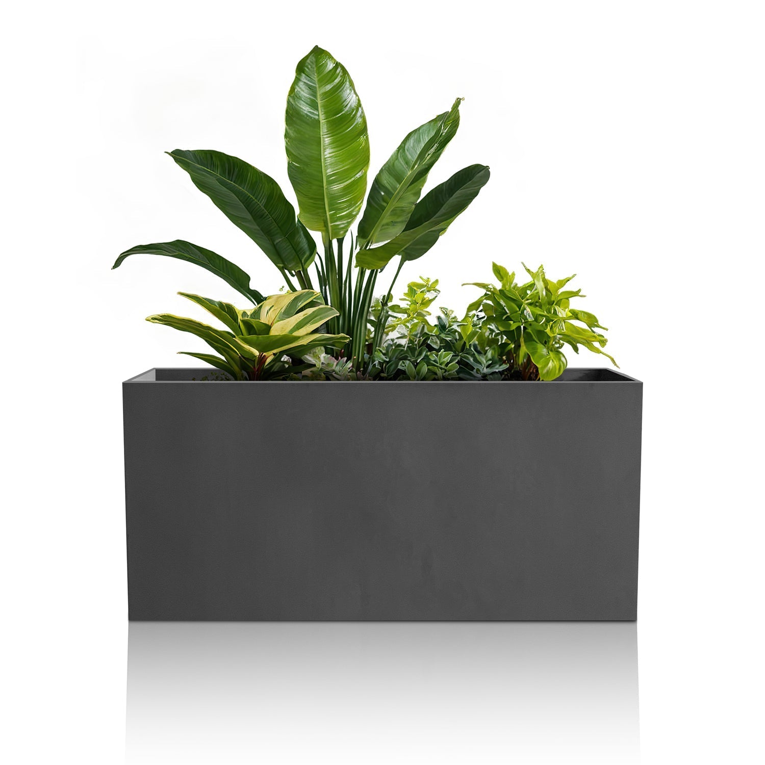 The Minimalist Oasis Planter - Full Set by Landmark Decor is a handmade rectangular black piece filled with diverse green plants, blending luxury with nature against a plain white background.