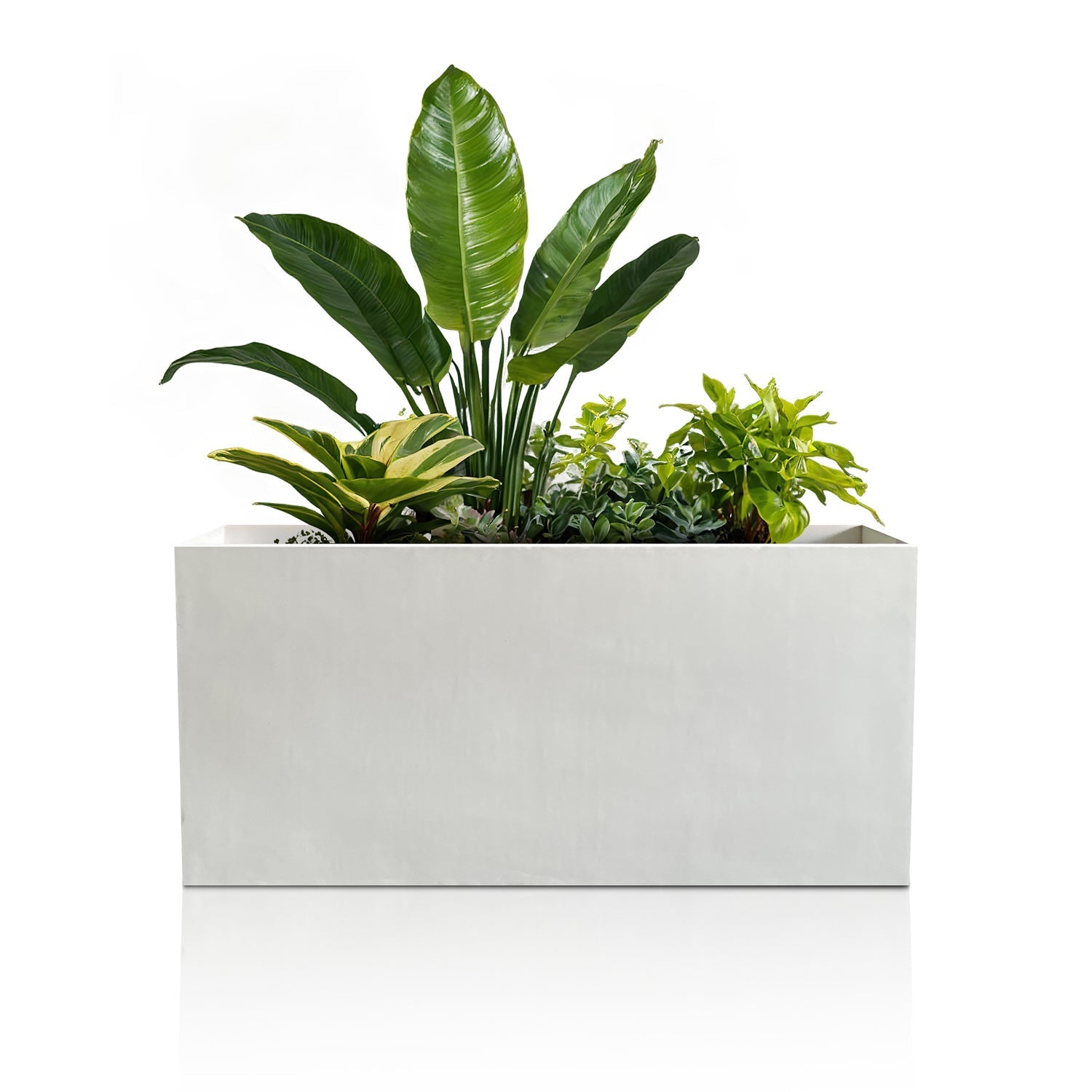 The Minimalist Oasis Planter - Full Set by Landmark Decor features a modern rectangular design with a sleek white finish. Showcasing lush green foliage, the handmade planters elevate any space with luxury and nature against a white background.
