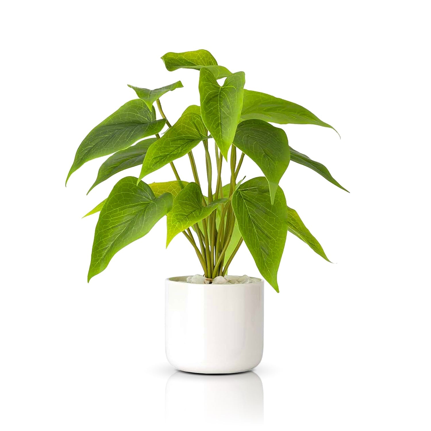 The Esmerald Heart by Landmark Decor is a lush green pothos with pointed leaves in a glossy white pot. This houseplant rests against a plain white background, offering a clean and minimalistic style ideal for any indoor space.
