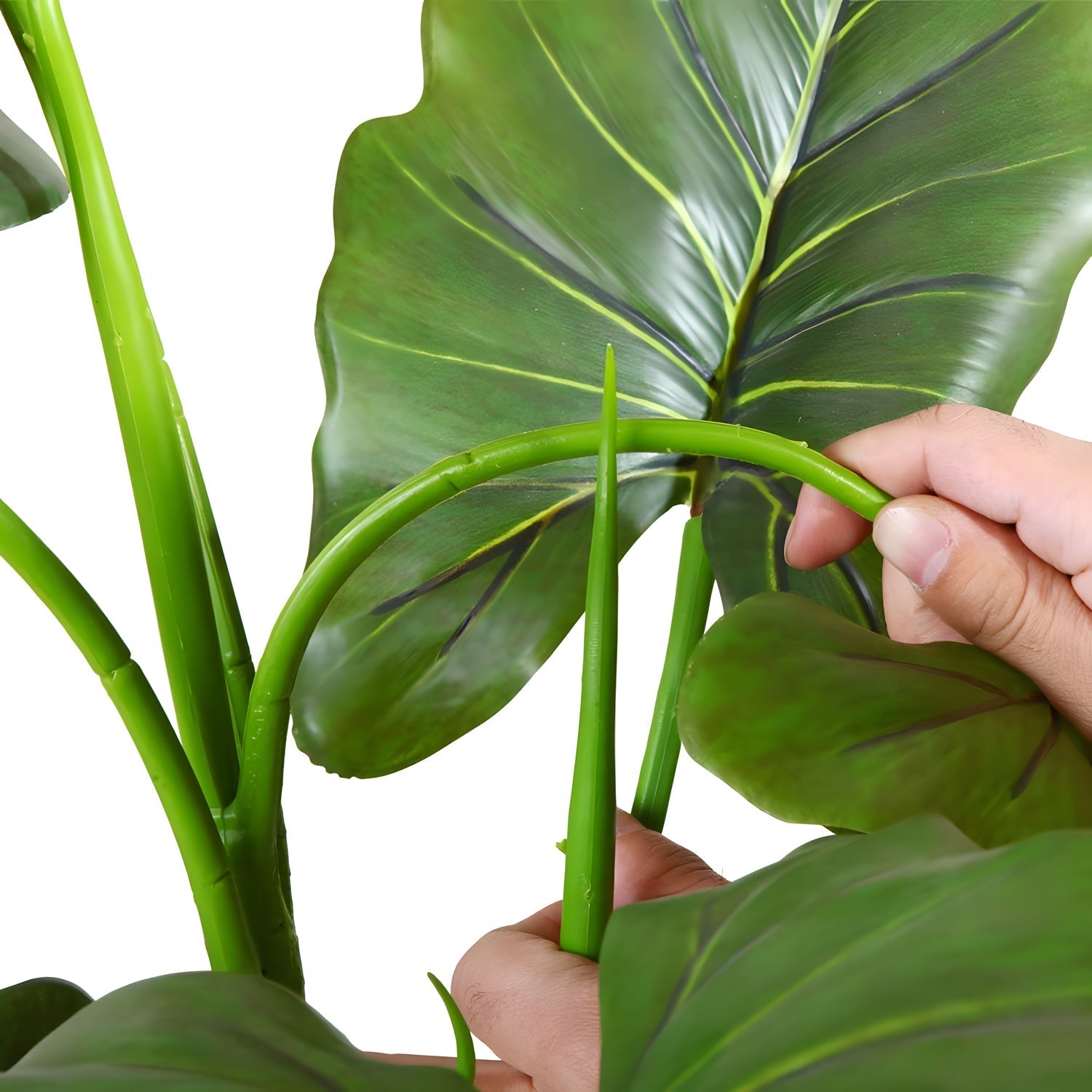 Hands gently pruning a lush, green Rainforest Royalty/Elephant Ear by Landmark Decor. The focus is on a long stem being cut, showcasing the vibrant color and healthy appearance of the plants large, glossy leaves.