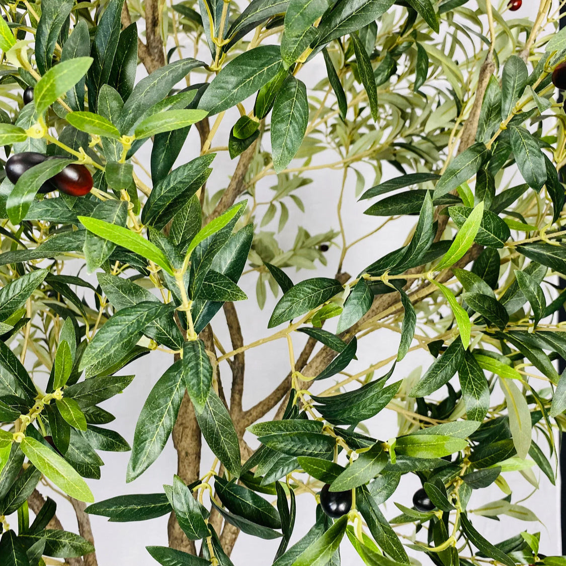 The Oliva Luxe by Landmark Decor showcases a close-up of an olive tree with lush green leaves and scattered black and dark red olives, branches stretching across the image to form a vibrant pattern against a light background.