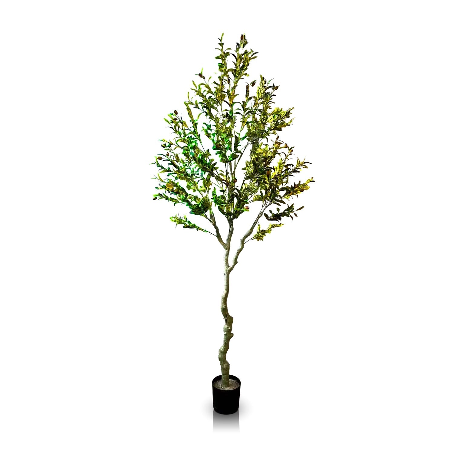 The Oliva Luxe by Landmark Decor features a tall, potted artificial olive tree with a long, slender trunk and numerous leafy branches, set against a white background.