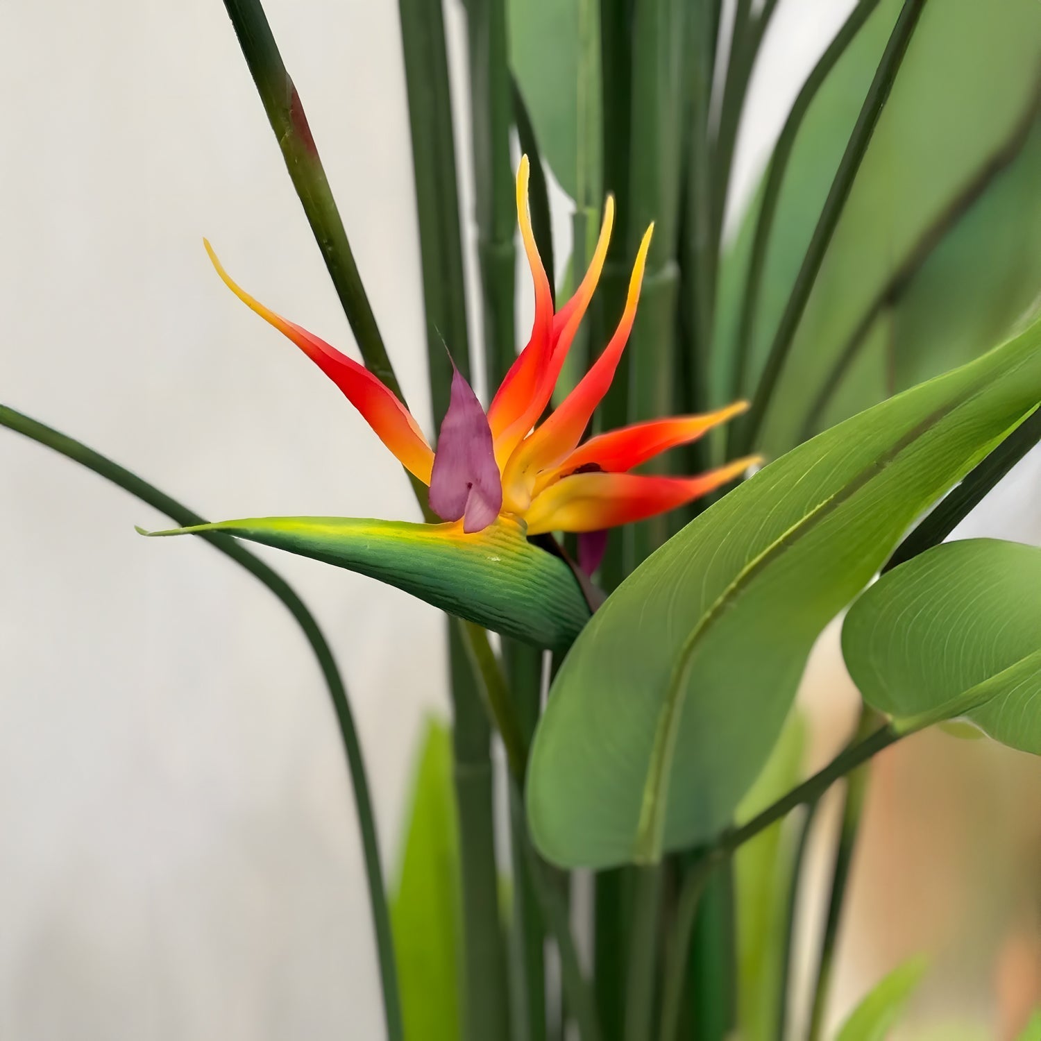 The Bird of Paradise by Landmark Decor features vibrant orange and purple petals extending among lush green leaves, set against a soft, blurred background.
