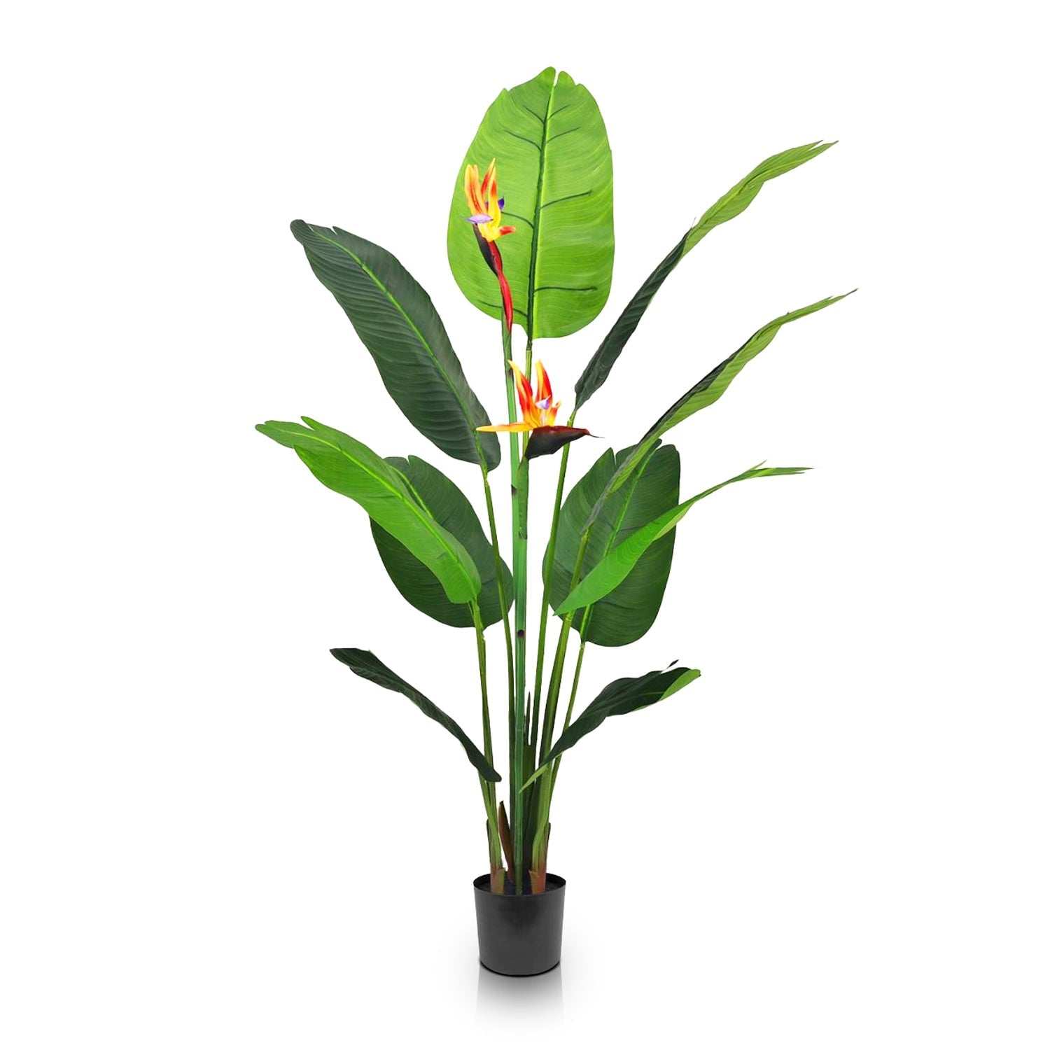 Landmark Decors Bird of Paradise plant features large green leaves and vibrant orange-yellow flowers against a plain white background.