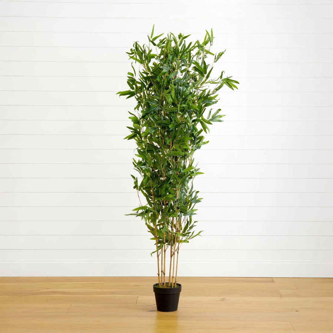 The Zen Whisper by Landmark Decor, a small potted bamboo plant with slender green leaves, stands on a wooden floor against a plain white wall.