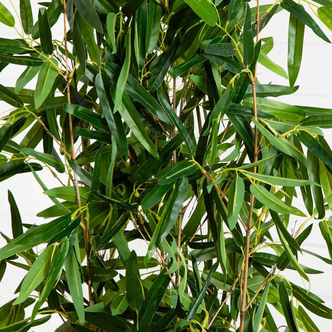 The Zen Whisper from Landmark Decor showcases a close-up of lush bamboo leaves with slender stems, densely packed to create a vibrant, natural texture against a light background.