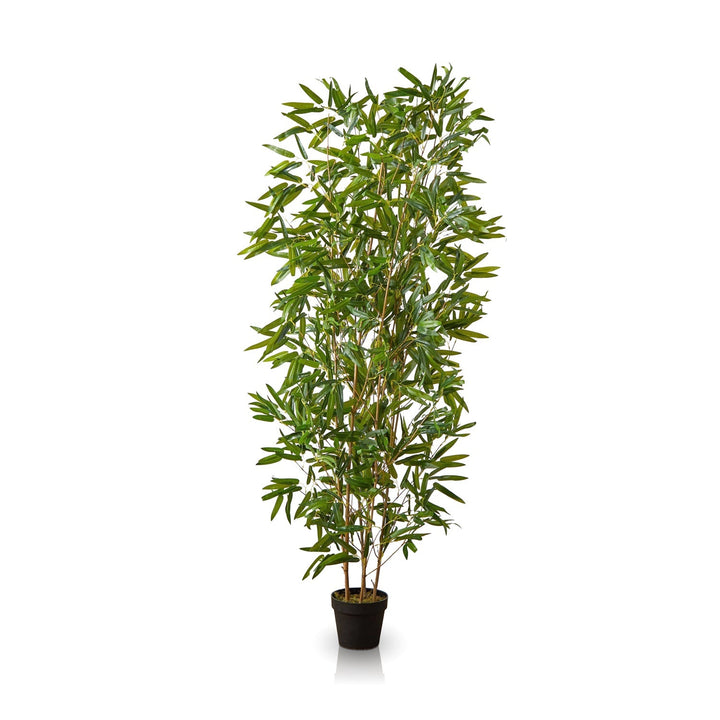 The Zen Whisper by Landmark Decor is a compact yet tall potted bamboo plant with slender green leaves and multiple thin stalks, standing elegantly against a plain white background.